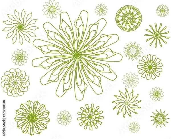 Fototapeta Flower B7