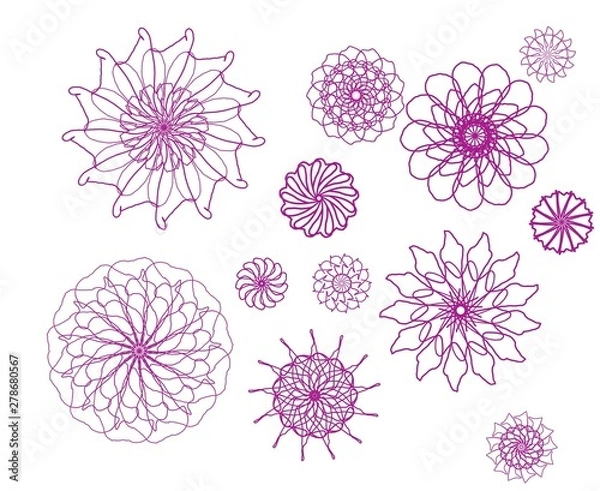 Fototapeta Flower B8