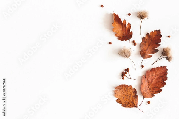 Fototapeta Autumn composition. Dried leaves, flowers, rowan berries on white background. Autumn, fall, thanksgiving day concept. Flat lay, top view, copy space