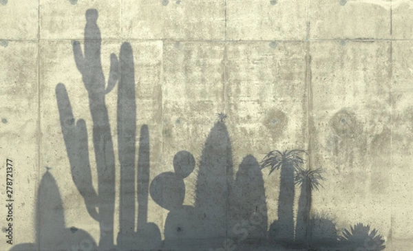 Obraz Cactus, aloe and succulent plants  cast a shadow on the concrete wall. Conceptual creative illustration with copy space. 3D rendering.
