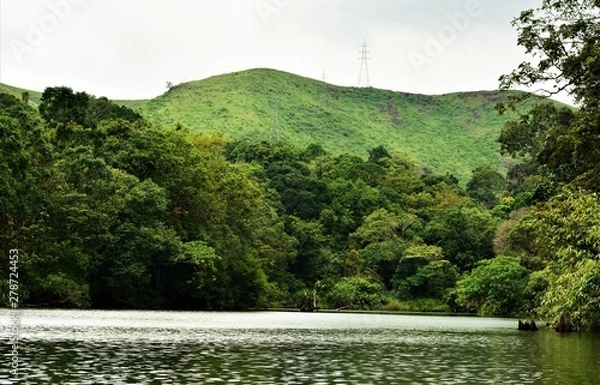Fototapeta Wlderness, Forest Scene from Kochu Pamba Dam Reservoir, Gavi, a remote village in Pathanamthitta, Kerala, India 