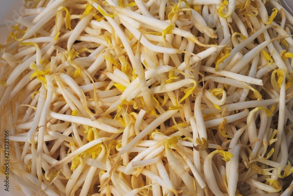 Obraz Bean sprouts