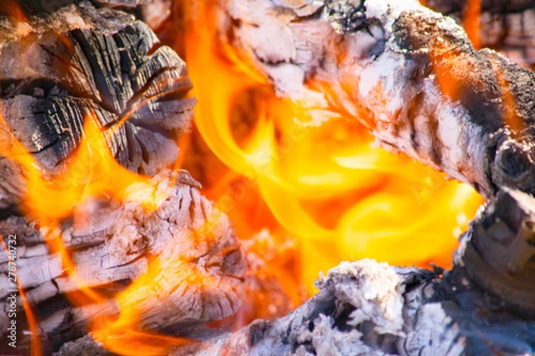 Obraz firewood burning on a brazier brazier, fire, coals, background