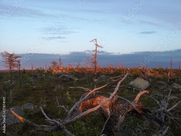 Obraz fishing net at sunset