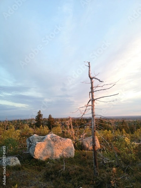Obraz sunset in mountains