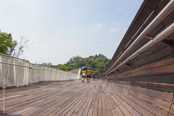 Obraz Henderson Waves bridge