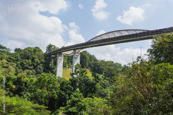 Obraz Henderson Waves bridge