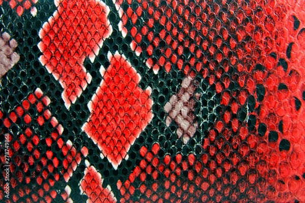 Obraz snake skin background