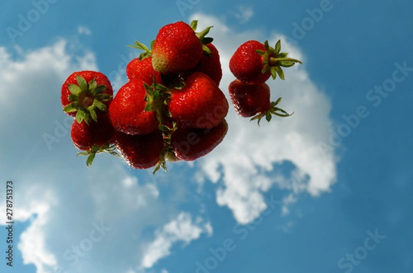 Obraz Red ripe strawberry berries laid out horizontally in a row on a mirror with the reflection of the sky and clouds