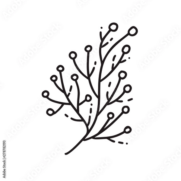 Obraz Vector monoline illustration branch with seeds natural icon. Black logo for eco design
