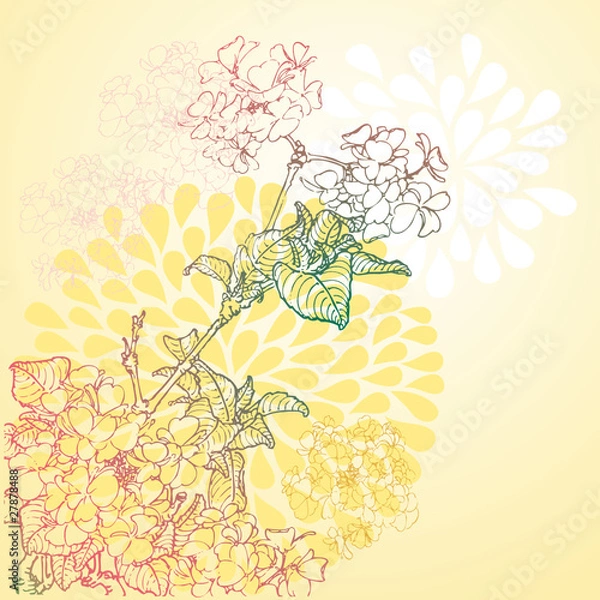 Obraz 绣球花背景