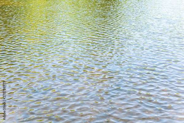 Obraz Lake Surface Texture