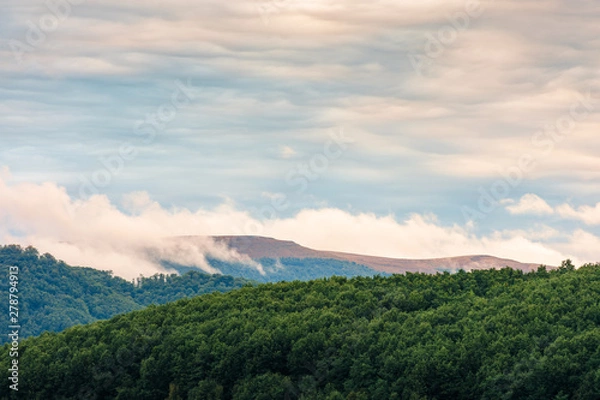 Fototapeta dramatic clouds above the mountain at sunrise. beautiful nature background. dynamic side lit cloudscape. forested hill on the foreground