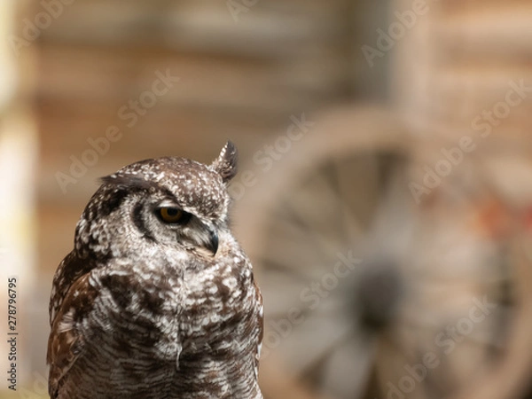 Obraz OLYMPUS DIGITAL CAMERA