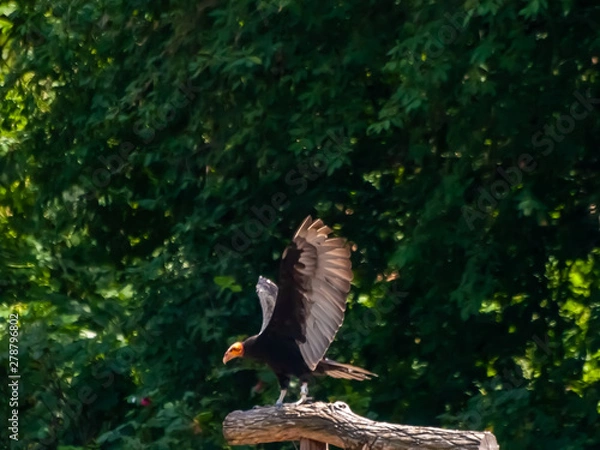 Obraz OLYMPUS DIGITAL CAMERA