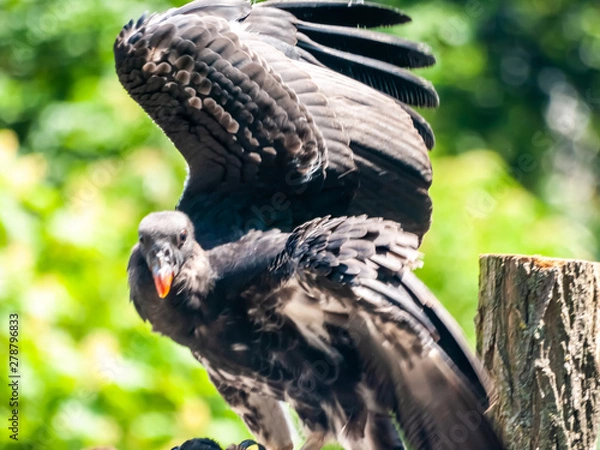 Obraz OLYMPUS DIGITAL CAMERA