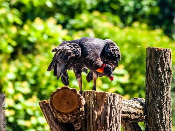 Obraz OLYMPUS DIGITAL CAMERA