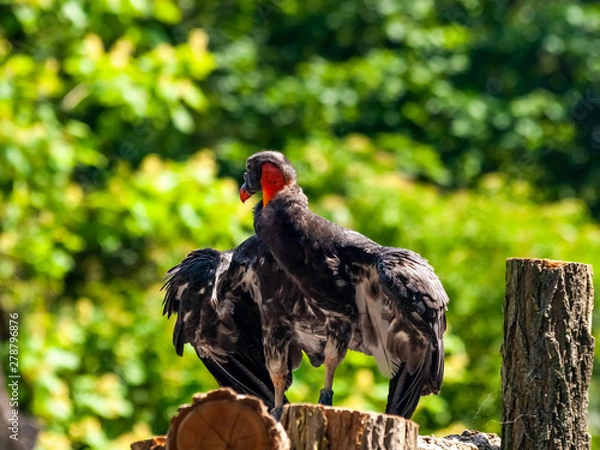 Obraz OLYMPUS DIGITAL CAMERA