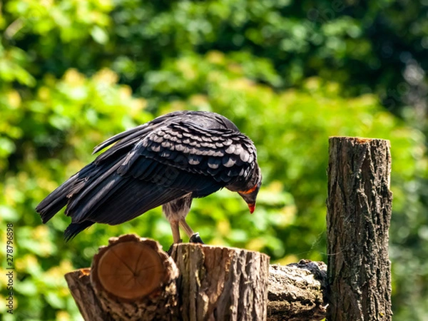 Obraz OLYMPUS DIGITAL CAMERA