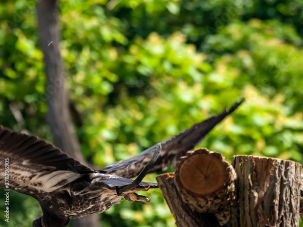 Obraz OLYMPUS DIGITAL CAMERA