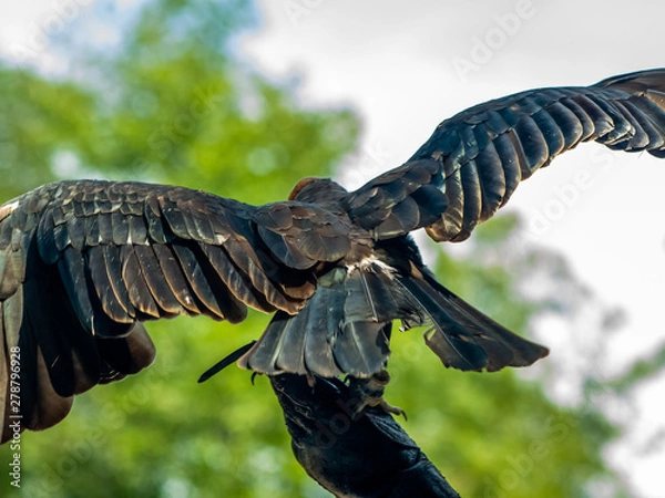 Obraz OLYMPUS DIGITAL CAMERA