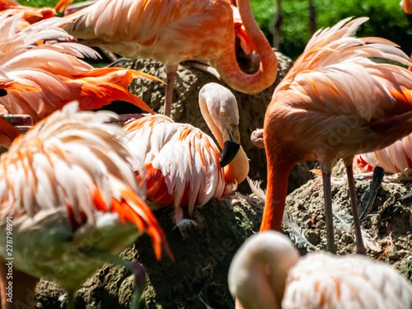 Obraz OLYMPUS DIGITAL CAMERA