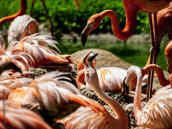 Obraz OLYMPUS DIGITAL CAMERA