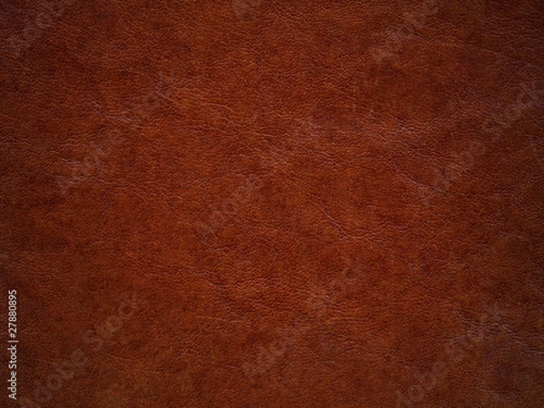 Obraz Brązowa skóra