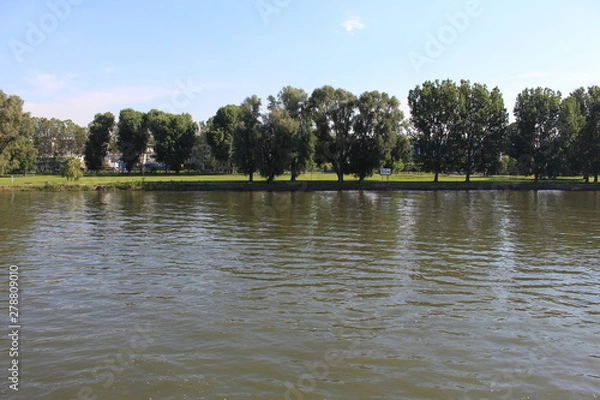 Obraz Rheinwiesen Biebrich park