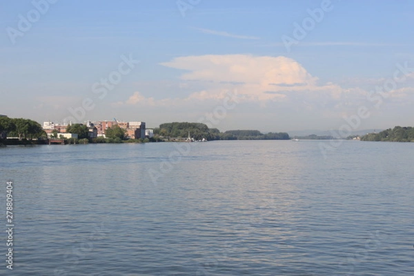 Obraz View on Budenheim from Rhine river
