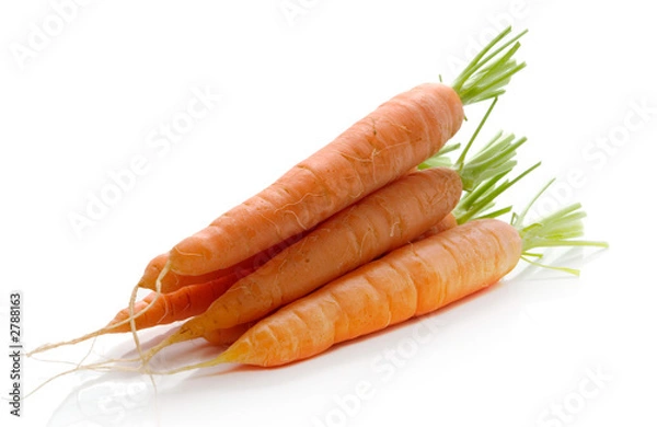 Obraz carrots
