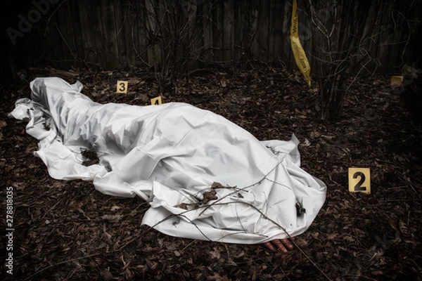 Obraz Victim of a violent crime under a sheet in a rural yard. With evidence markers.