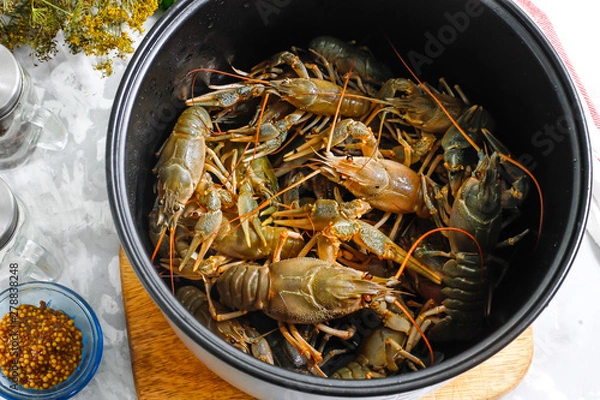 Obraz Fresh crayfish in a bowl of the multicooker on a concrete background - ingredients for cooking boiled crayfish in a multicooker. Step 2.