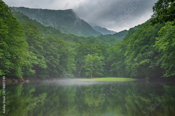 Fototapeta Oirase mountain stream in early summer