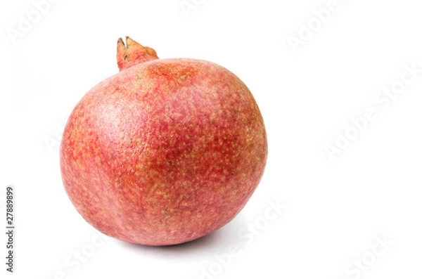 Obraz Pomegranate