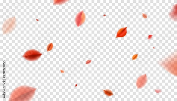 Obraz Fall blurred flying red leaves, autumn nature vector design elements for photo decoration