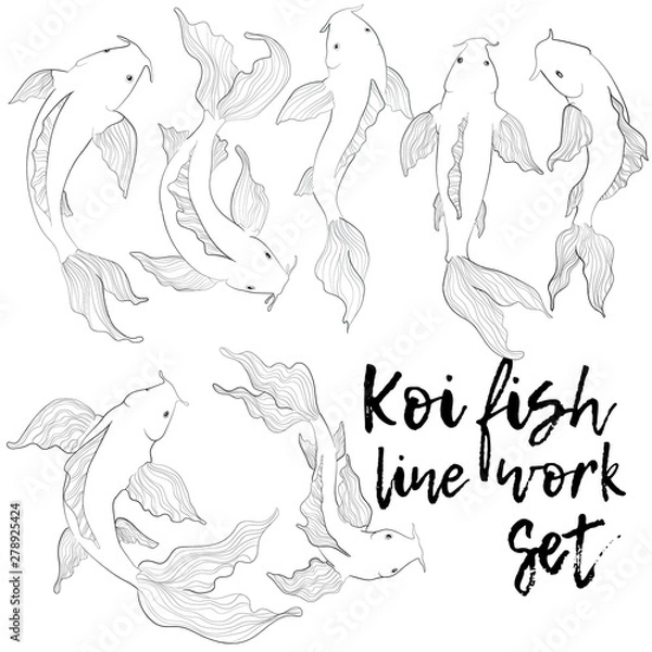 Fototapeta Koi fish hand draw outline illustration collection. Set of carps in line work style on white background