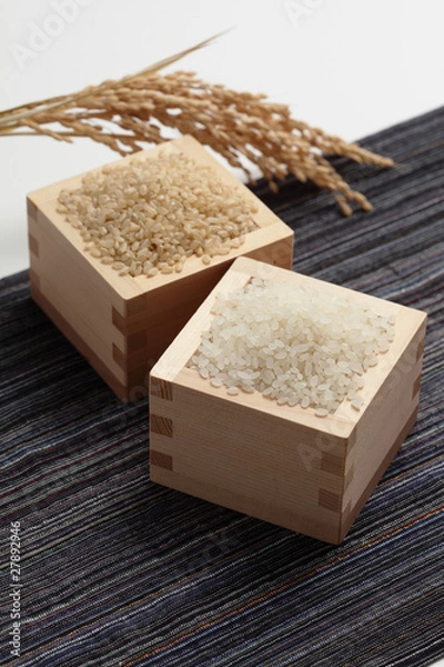 Fototapeta 玄米と精白したジャポニカ米