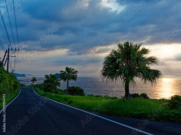 Fototapeta 海辺の道