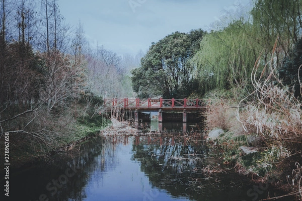 Fototapeta scenes of nature and flora from Gucun Park in Shanghai, China