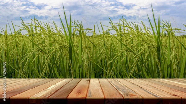 Fototapeta Perspective brown wooden board empty table in front of paddy field in morning time. for product placement or editing your product. Wooden board empty table perspective.