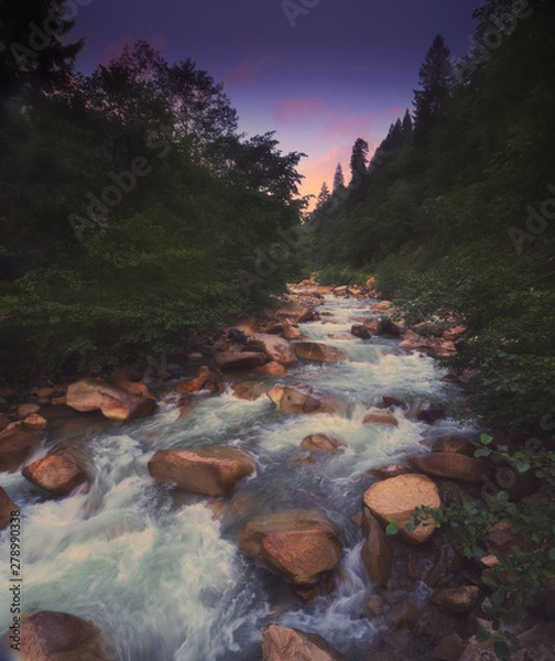 Obraz The amazing nature