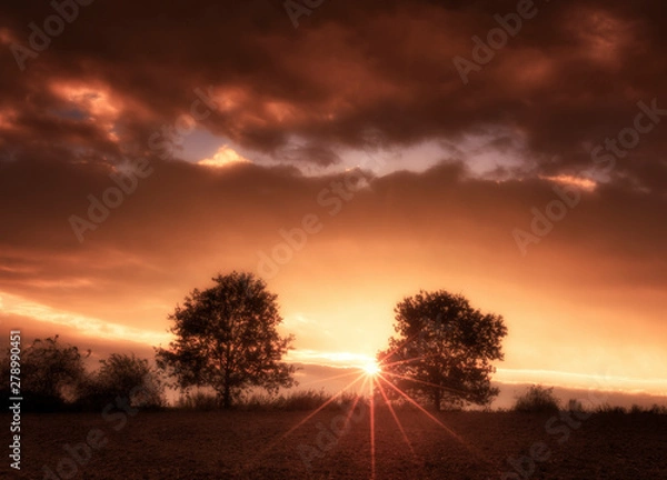 Obraz The amazing nature