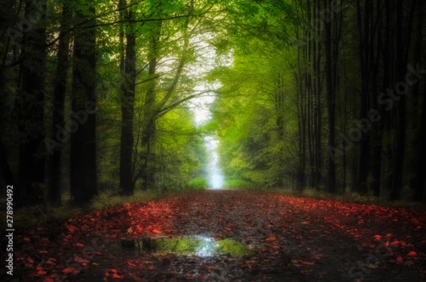 Obraz The amazing nature