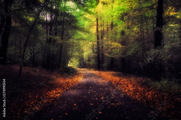 Obraz The amazing nature