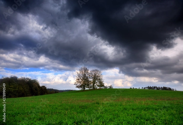 Obraz The amazing nature