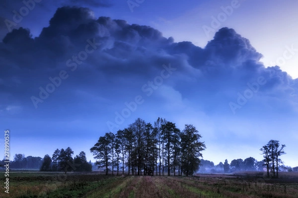 Obraz The amazing nature