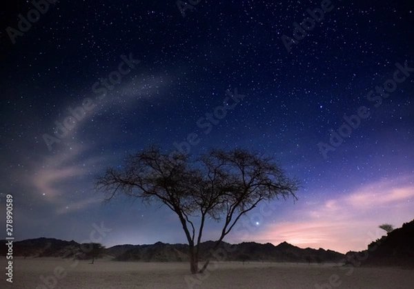 Obraz The amazing nature