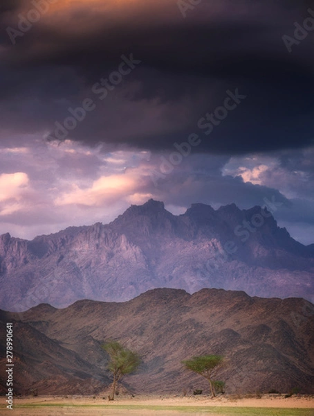 Obraz The amazing nature