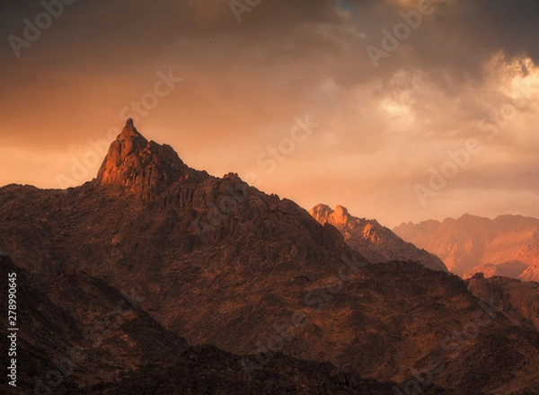 Obraz The amazing nature